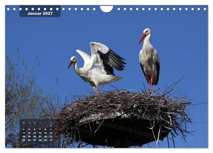 Produktbild: Gl&uuml;cksbringer (Wandkalender 2027 DIN A4 quer), CALVENDO Monatskalender