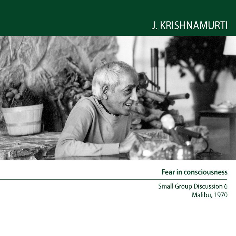 Produktbild: Fear in consciousness