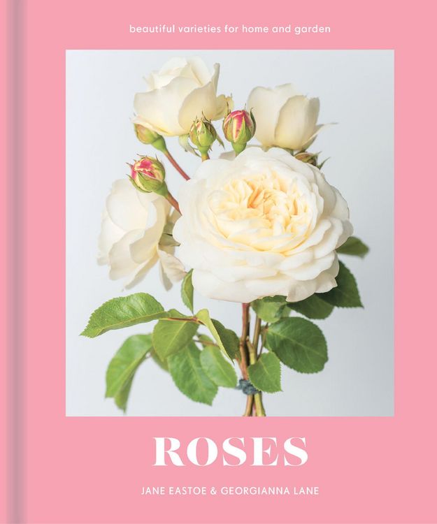 Produktbild: Roses