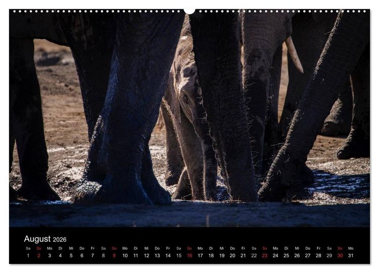 Produktbild: Elefanten - Die sanften Riesen Afrikas (hochwertiger Premium Wandkalender 2026 DIN A2 quer), Kunstdruck in Hochglanz