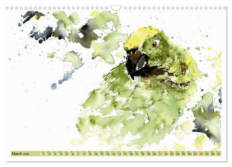 Produktbild: The Fascinating World of Birds in Watercolour (Wall Calendar 2026 DIN A3 landscape), CALVENDO 12 Month Wall Calendar