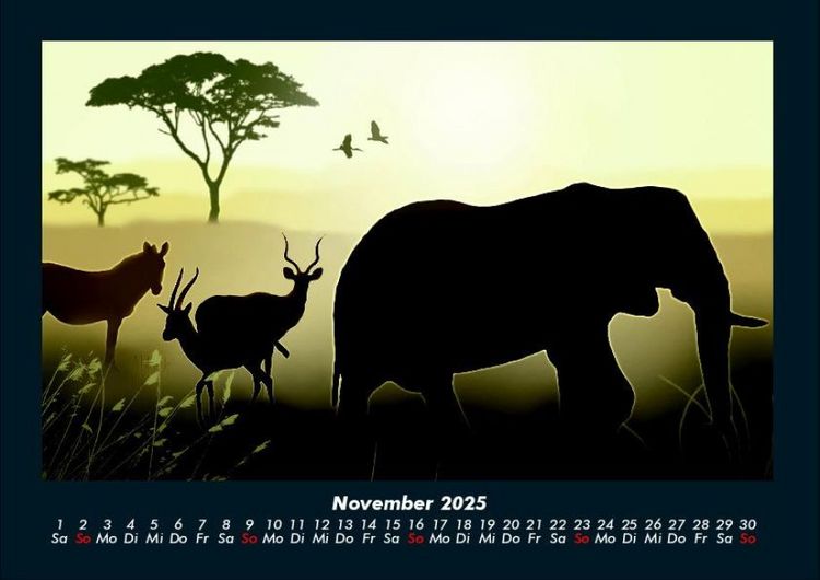 Produktbild: Elefanten - Die sanften Riesen Afrikas 2025 Fotokalender DIN A4