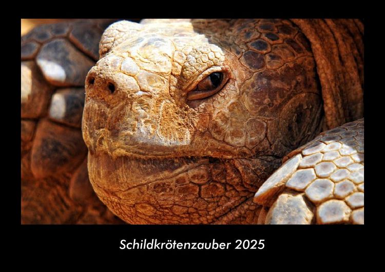 Produktbild: Schildkr&ouml;tenzauber 2025 Fotokalender DIN A3