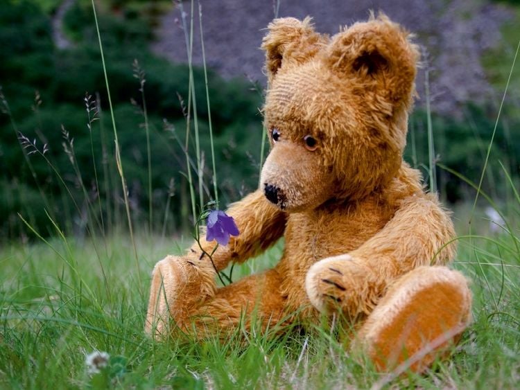 Produktbild: CALVENDO Puzzle Ein Bl&uuml;mchen | 1000 Teile Lege-Gr&ouml;&szlig;e 64x48cm Foto-Puzzle f&uuml;r gl&uuml;ckliche Stunden