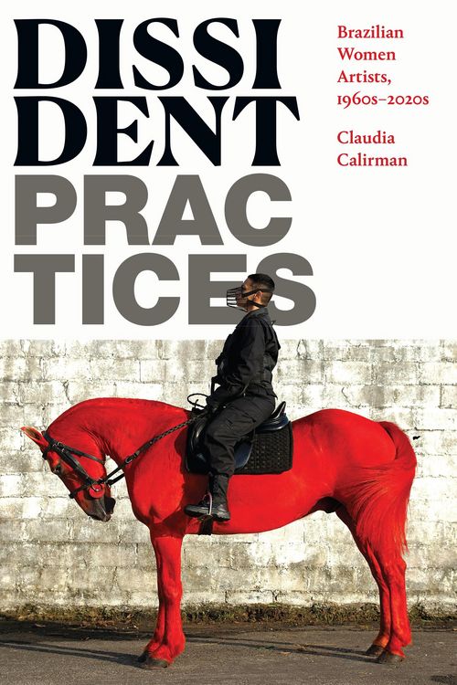 Produktbild: Dissident Practices