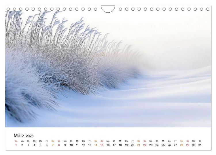 Produktbild: Winterzauber - Nordwind und Schneegest&ouml;ber (Wandkalender 2026 DIN A4 quer), CALVENDO Monatskalender