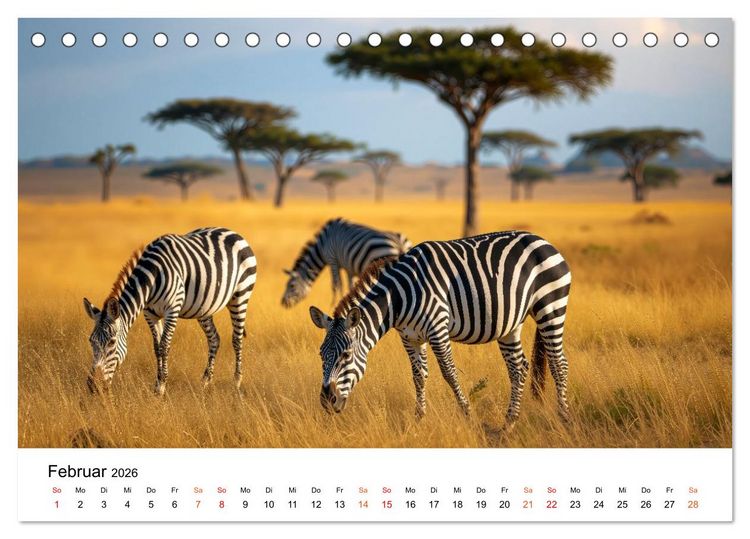 Produktbild: Zebras - Streifz&uuml;ge durch die Steppe (Tischkalender 2026 DIN A5 quer), CALVENDO Monatskalender