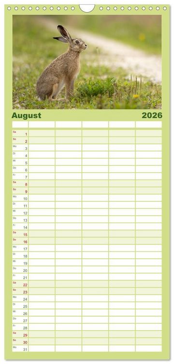 Produktbild: Familienplaner 2026 - Feldhasen unterwegs in Wald und Flur mit 5 Spalten (Wandkalender, 21 x 45 cm) CALVENDO