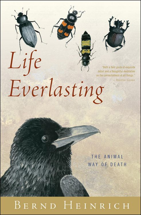 Produktbild: Life Everlasting