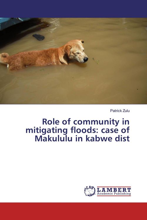 Produktbild: Role of community in mitigating floods: case of Makululu in kabwe dist