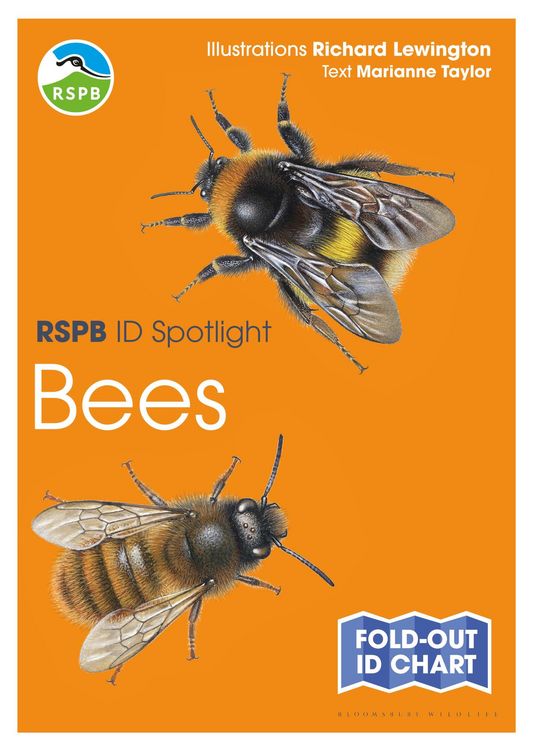 Produktbild: RSPB ID Spotlight - Bees