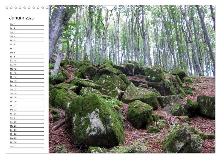 Produktbild: Camino di Assisi - Franziskusweg (Wandkalender 2026 DIN A3 quer), CALVENDO Monatskalender