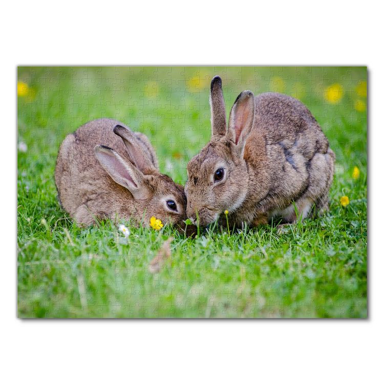 Produktbild: Lais Puzzle Kaninchen 500 Teile
