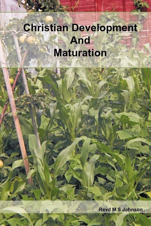 Produktbild: Christian Development and Maturation