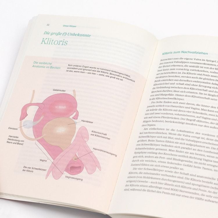 Produktbild: Das gro&szlig;e Gynbuch