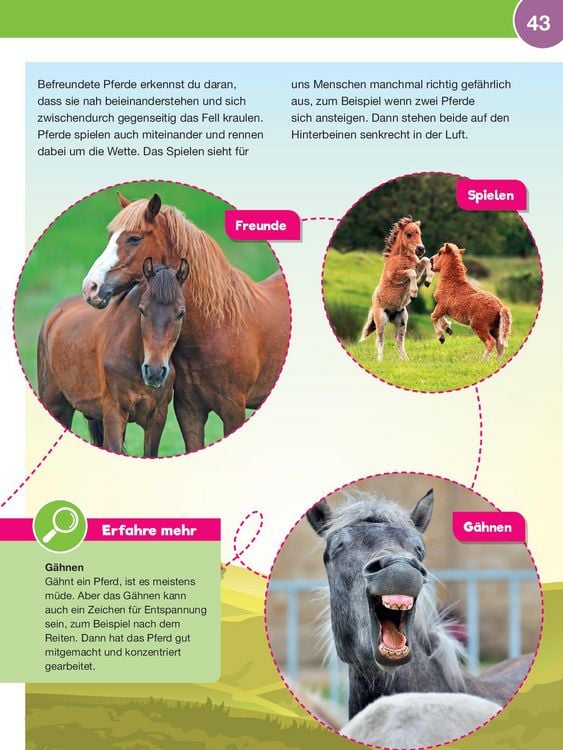 Produktbild: Leselauscher Wissen: Pferde und Ponys