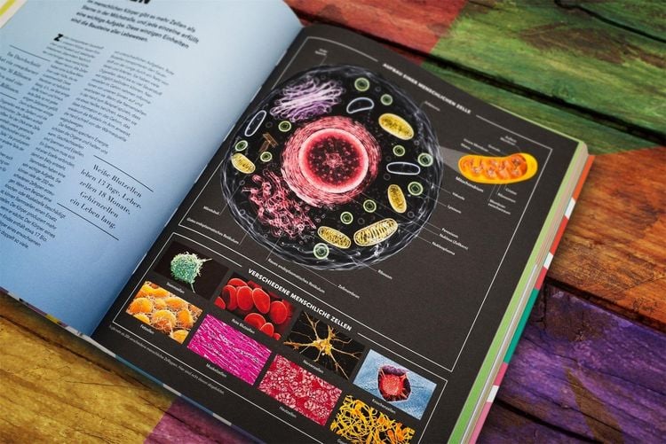 Produktbild: Universum des Wissens