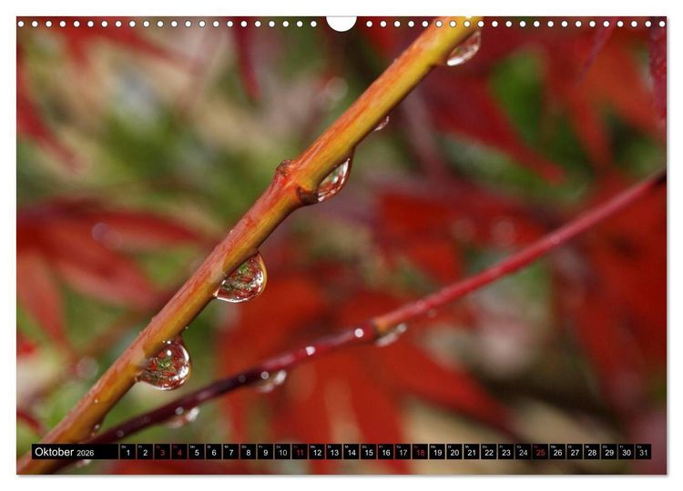 Produktbild: Wassertropfen - Diamanten des Lebens (Wandkalender 2026 DIN A3 quer), CALVENDO Monatskalender