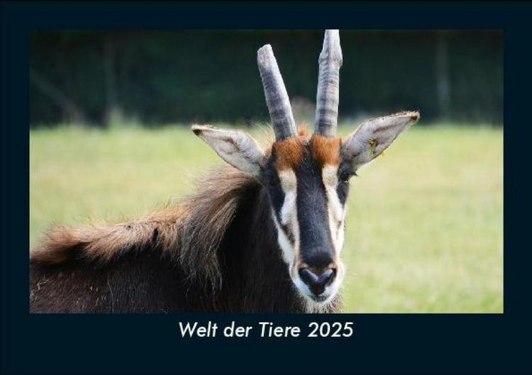 Produktbild: Welt der Tiere 2025 Fotokalender DIN A5