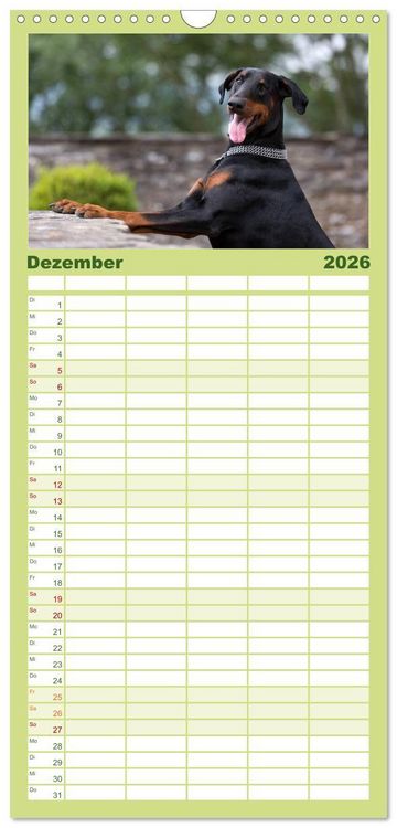 Produktbild: Familienplaner 2026 - Dobermann mit 5 Spalten (Wandkalender, 21 x 45 cm) CALVENDO