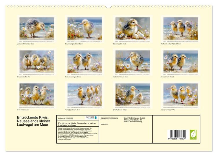Produktbild: Entz&uuml;ckende Kiwis. Neuseelands kleiner Laufvogel am Meer (hochwertiger Premium Wandkalender 2027 DIN A2 quer), Kunstdruck in Hochglanz