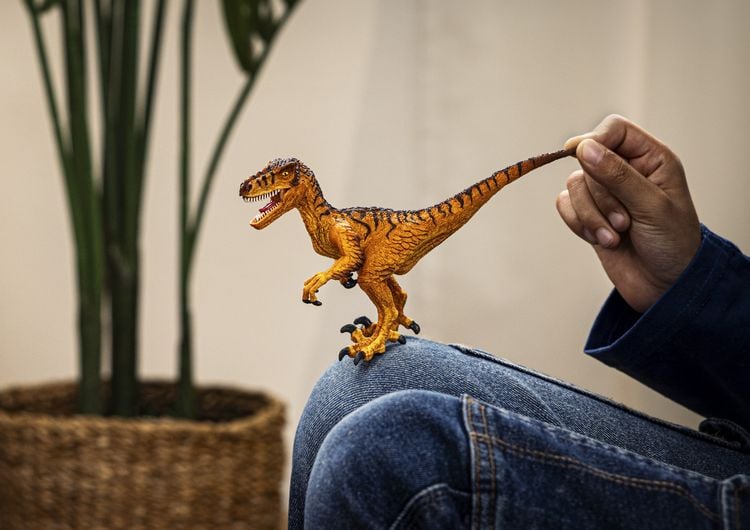 Produktbild: schleich&reg; Dinosaurs Velociraptor