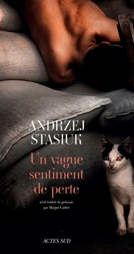 Produktbild: Un vague sentiment de perte