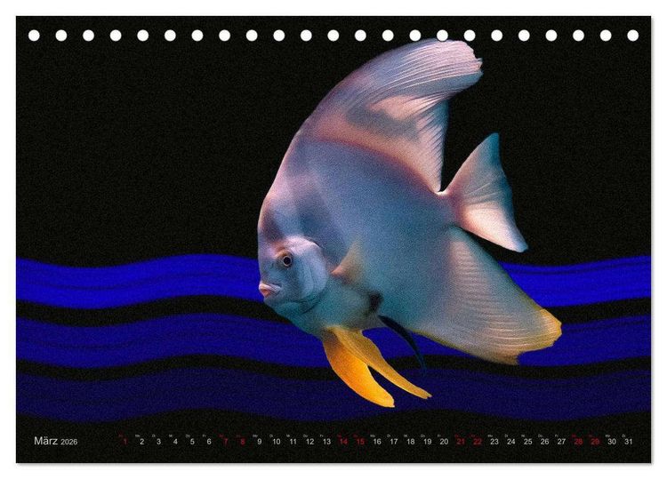 Produktbild: Artwork Unterwasser - Erlebnis Tauchen (Tischkalender 2026 DIN A5 quer), CALVENDO Monatskalender