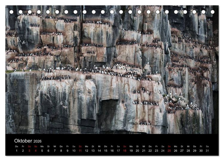 Produktbild: TRAUMZIEL ARKTIS, Impressionen vom Rand der Welt (Tischkalender 2026 DIN A5 quer), CALVENDO Monatskalender