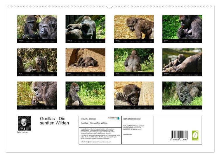 Produktbild: Gorillas - Die sanften Wilden (hochwertiger Premium Wandkalender 2026 DIN A2 quer), Kunstdruck in Hochglanz