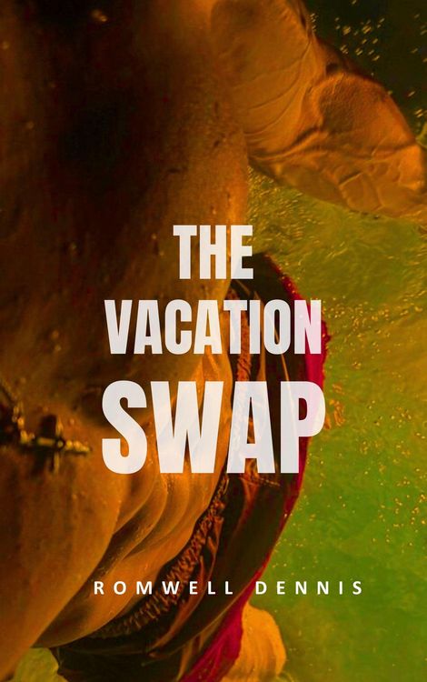Produktbild: The Vacation Swap