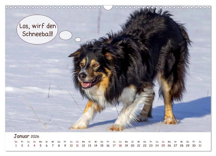 Produktbild: Frei Schnauze 2026. Was Hunde am liebsten sagen w&uuml;rden (Wandkalender 2026 DIN A3 quer), CALVENDO Monatskalender