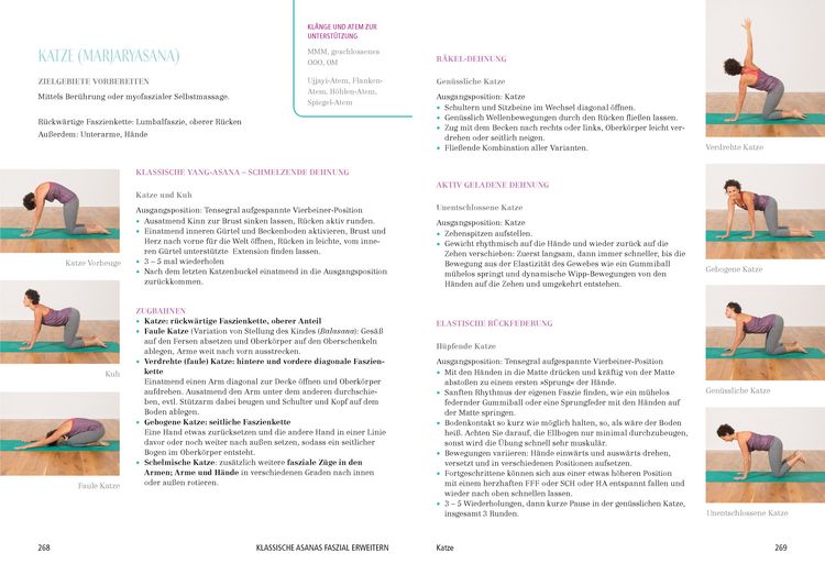 Produktbild: Das gro&szlig;e Faszien-Yoga Buch
