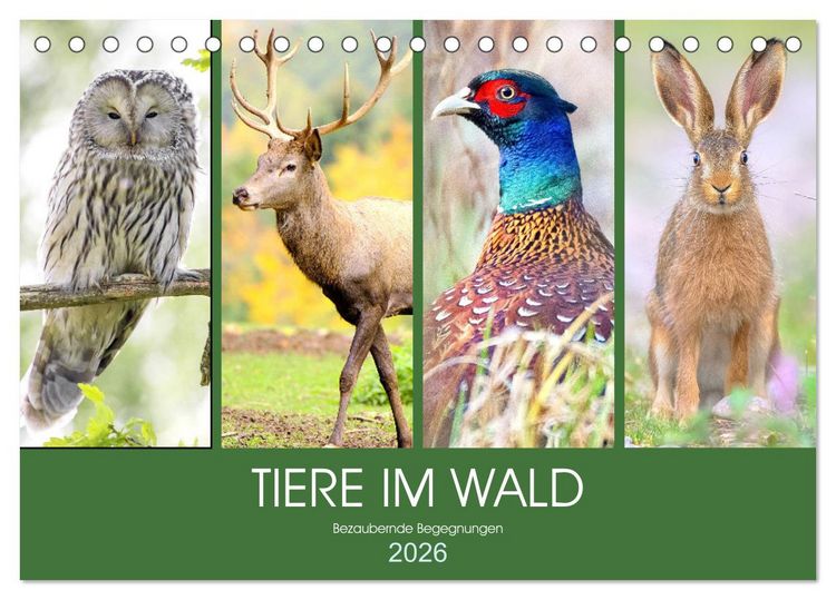 Produktbild: Tiere im Wald. Bezaubernde Begegnungen (Tischkalender 2026 DIN A5 quer), CALVENDO Monatskalender