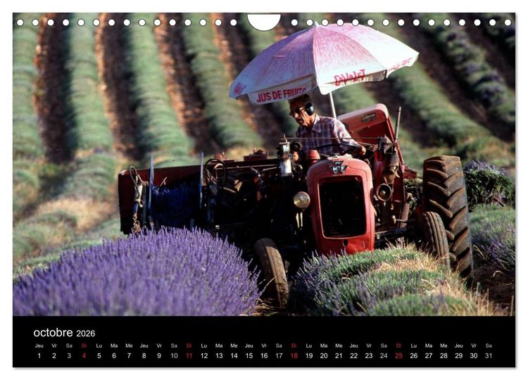 Produktbild: Lavande, l'or bleu de Provence (Calendrier mural 2026 DIN A4 vertical), CALVENDO calendrier mensuel