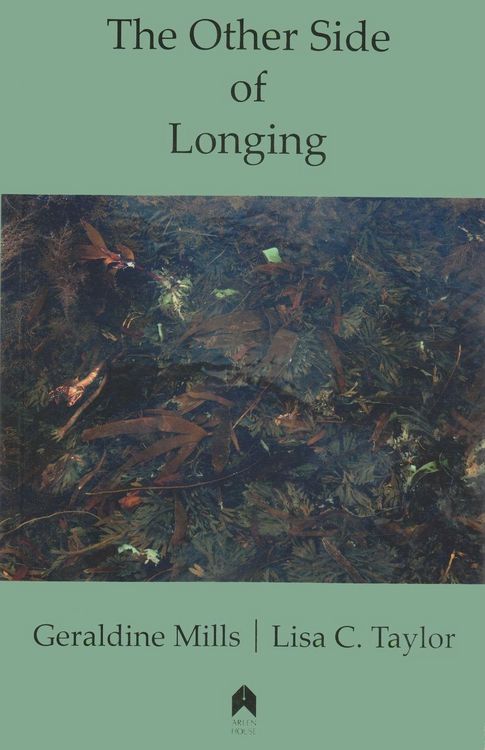 Produktbild: The Other Side of Longing
