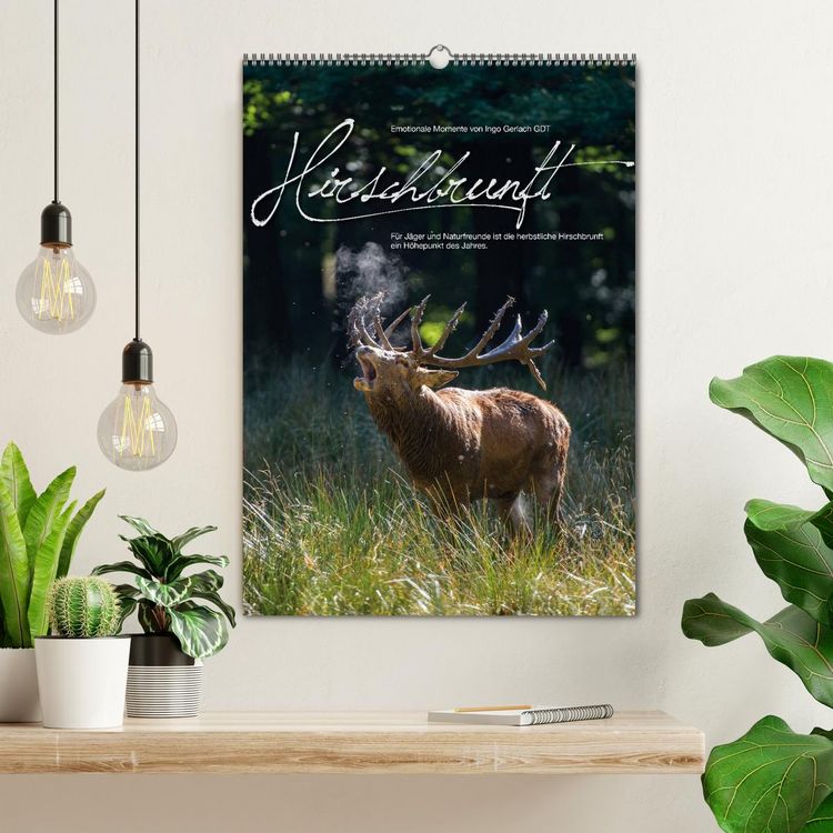 Produktbild: Emotionale Momente: Hirschbrunft (Wandkalender 2026 DIN A2 hoch), CALVENDO Monatskalender