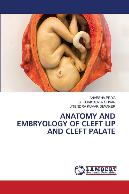 Produktbild: Anatomy and Embryology Of Cleft Lip and Cleft Palate