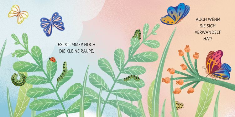 Produktbild: Geburt eines Schmetterlings