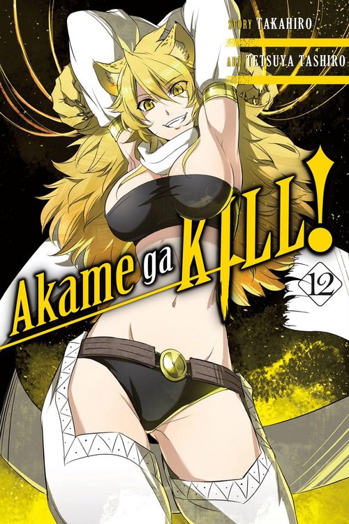 Produktbild: Akame ga KILL!, Vol. 12