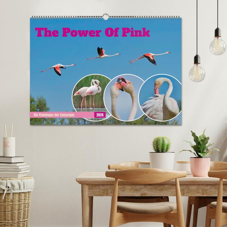 Produktbild: The Power Of Pink (Wandkalender 2026 DIN A2 quer), CALVENDO Monatskalender