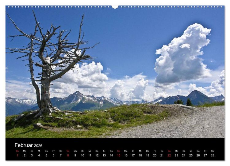 Produktbild: Baum-Variationen (Wandkalender 2026 DIN A2 quer), CALVENDO Monatskalender
