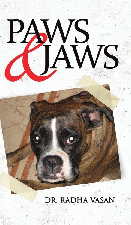 Produktbild: Paws & Jaws