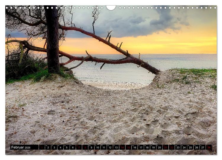 Produktbild: Fischland - Dar&szlig;- Zingst (Wandkalender 2026 DIN A3 quer), CALVENDO Monatskalender