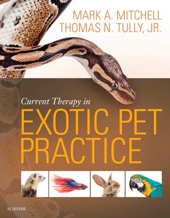 Produktbild: Current Therapy in Exotic Pet Practice