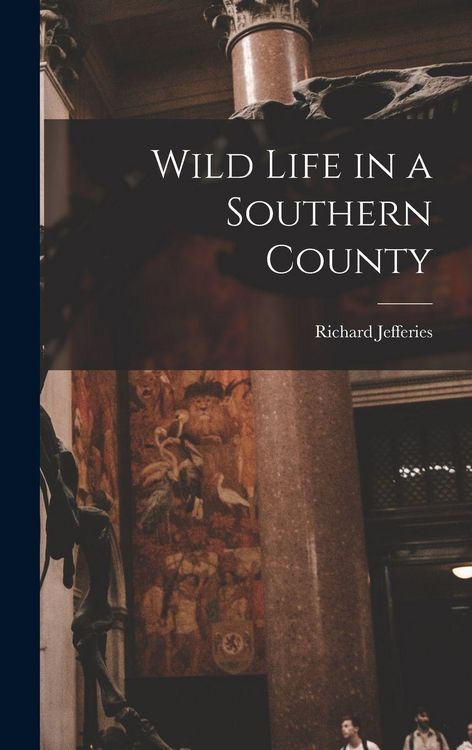 Produktbild: Wild Life in a Southern County