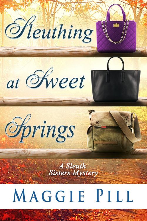Produktbild: Sleuthing at Sweet Springs (The Sleuth Sisters Mysteries, #4)