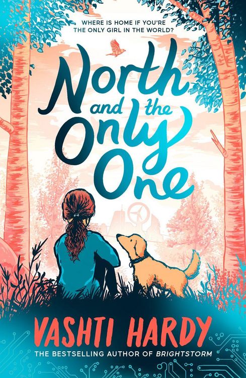 Produktbild: North and the Only One