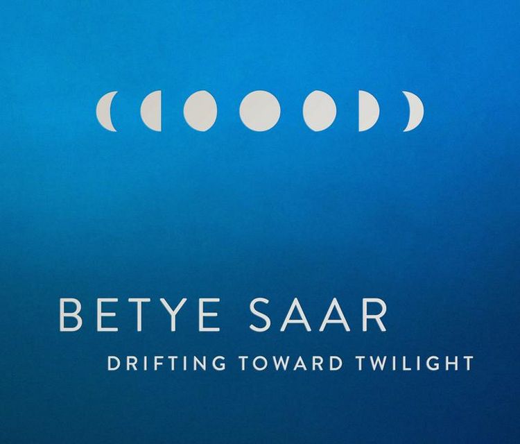 Produktbild: Betye Saar: Drifting toward Twilight