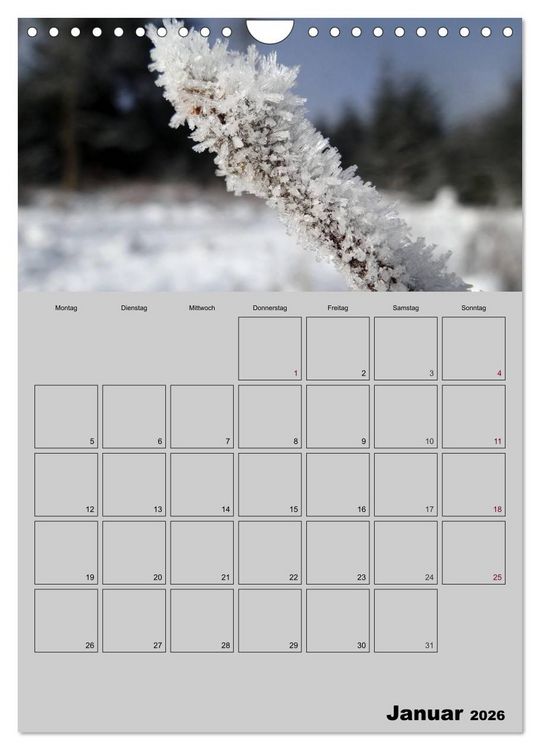 Produktbild: Zeitgewinn (Mein Terminplaner) (Wandkalender 2026 DIN A4 hoch), CALVENDO Monatskalender